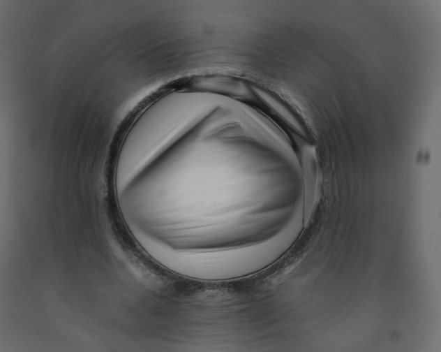 X0000091960536200710041030