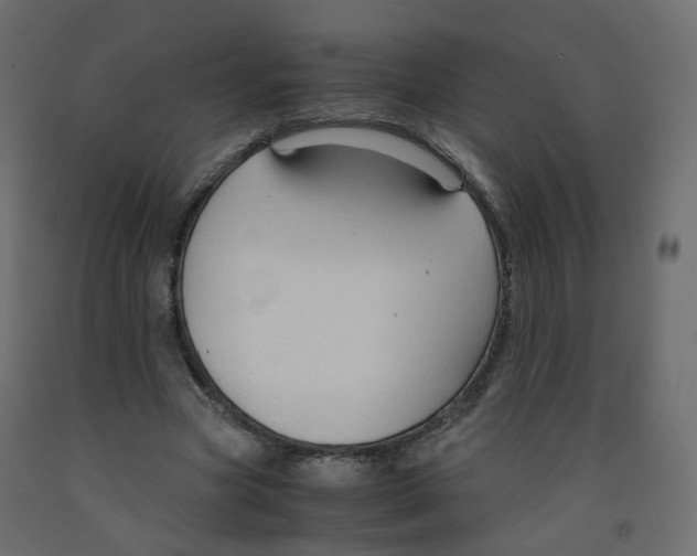 X0000091960537200710041030