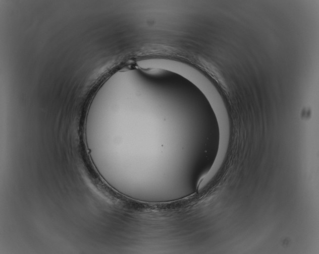 X0000091960538200710041030
