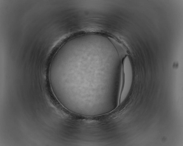 X0000091960539200710041030