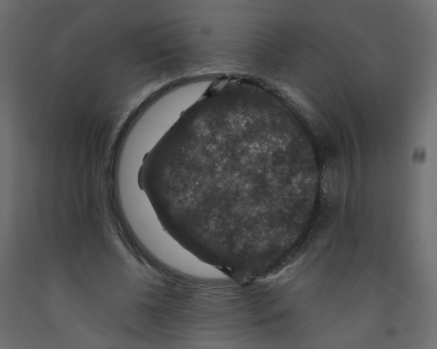 X0000091960540200710041030