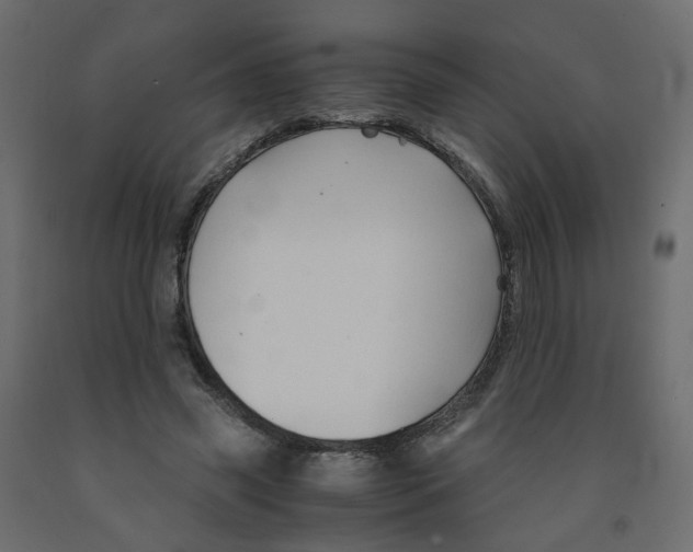 X0000091960541200710041030