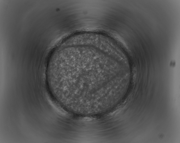 X0000091960542200710041030