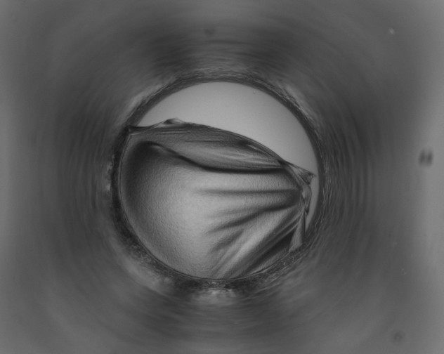 X0000091960543200710041030