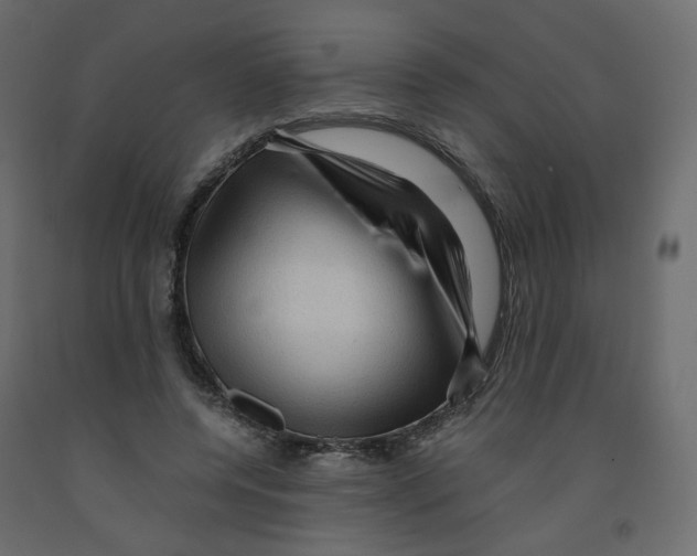 X0000091960544200710041030
