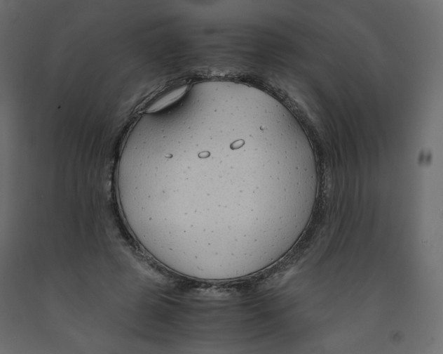 X0000091960545200710041030