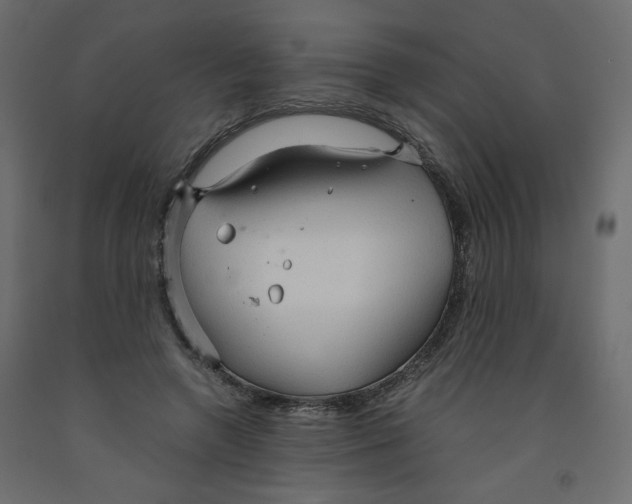 X0000091960546200710041030