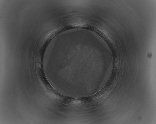 X0000091960547200710041030