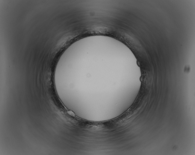 X0000091960548200710041030