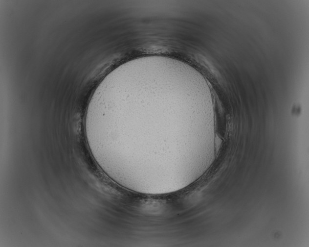 X0000091960549200710041030