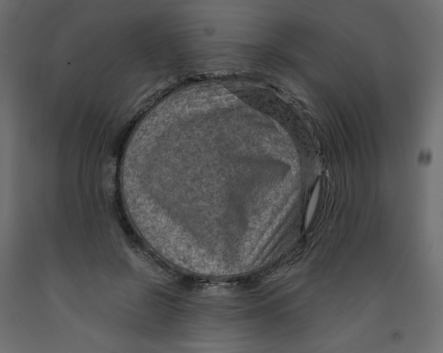 X0000091960550200710041030