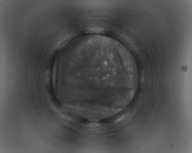 X0000091960551200710041030