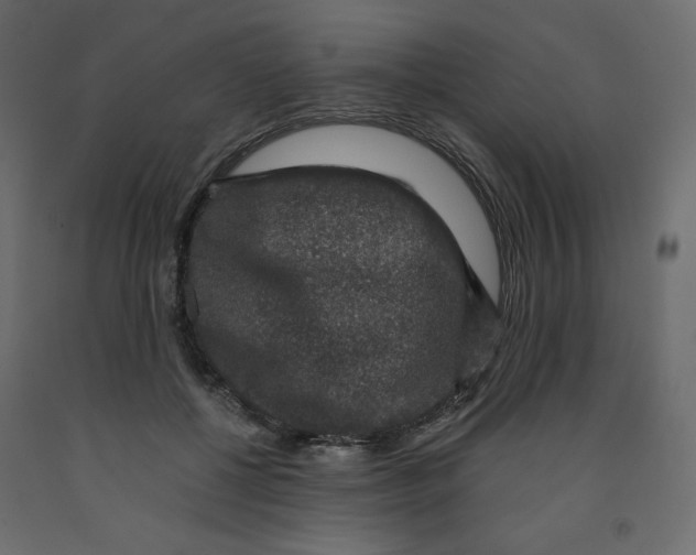 X0000091960552200710041030