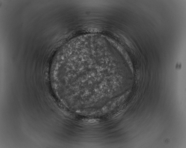 X0000091960553200710041030