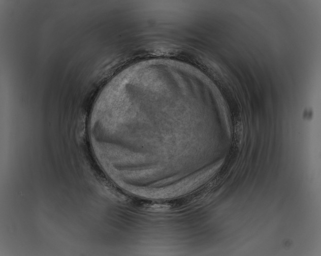 X0000091960554200710041030