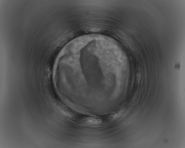 X0000091960555200710041030