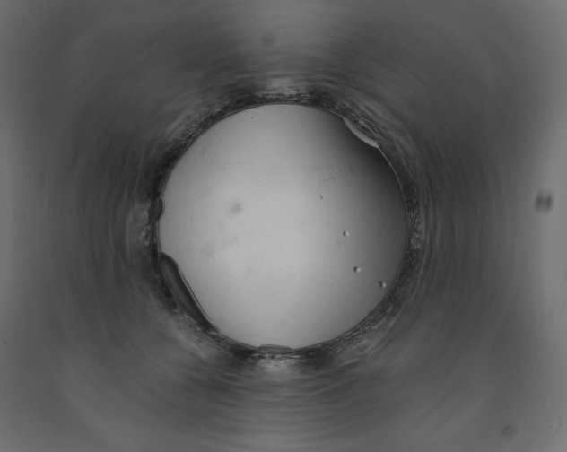 X0000091960560200710041030