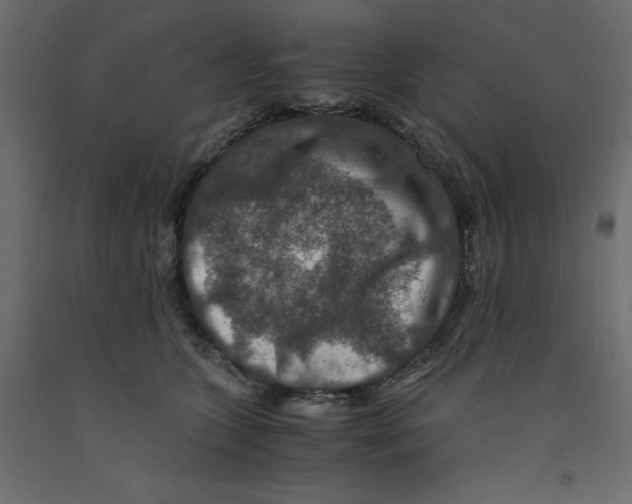 X0000091960563200710041030