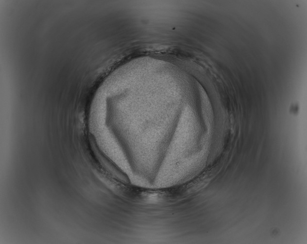 X0000091960564200710041030