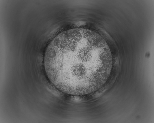 X0000091960565200710041030