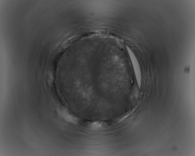X0000091960566200710041030