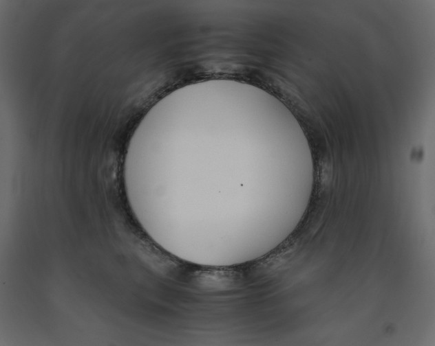 X0000091960567200710041031