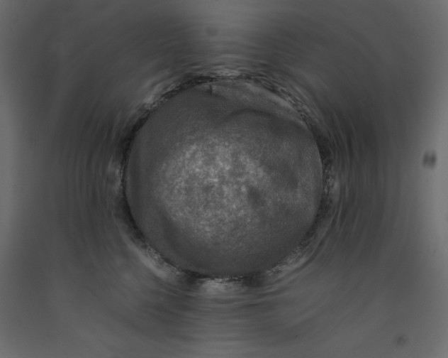 X0000091960568200710041031