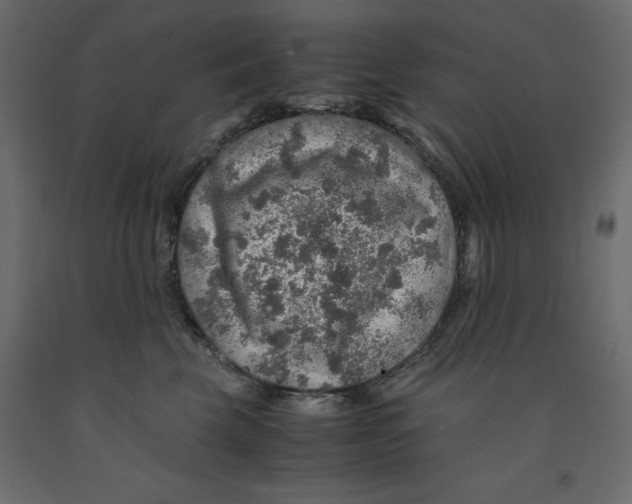 X0000091960569200710041031