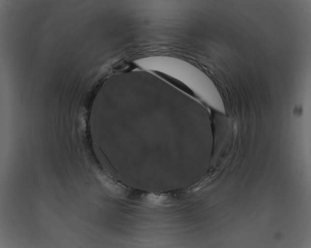 X0000091960570200710041031