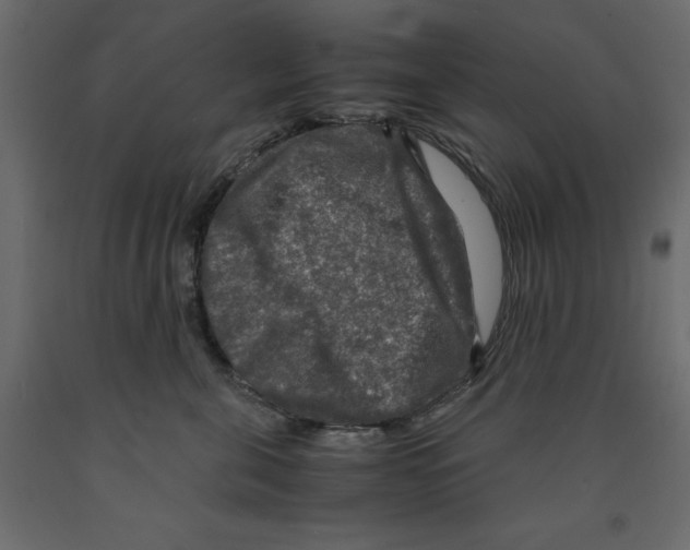 X0000091960571200710041031
