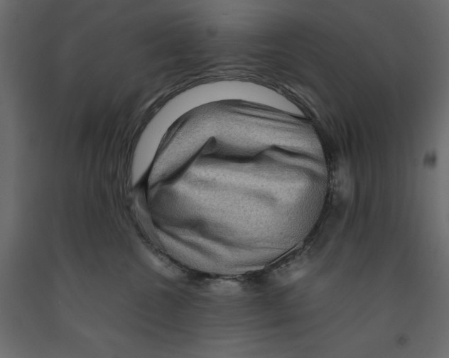 X0000091960572200710041031