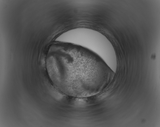 X0000091960573200710041031