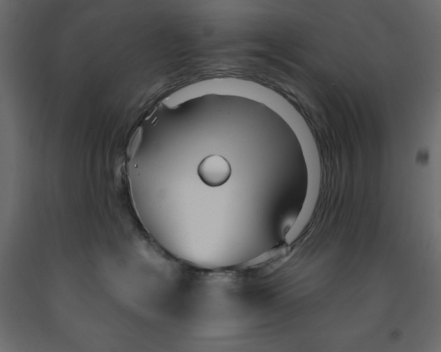 X0000091960574200710041031