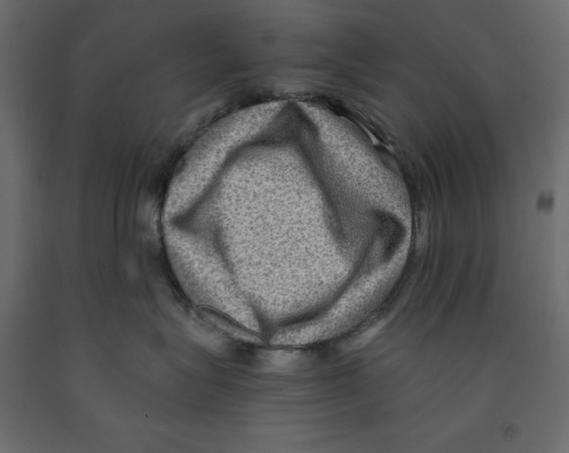 X0000091960575200710041031