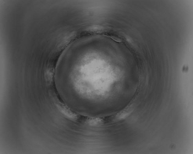X0000091960576200710041031
