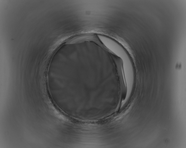 X0000091960577200710041030
