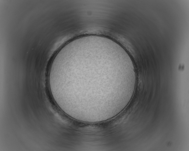 X0000091960578200710041030