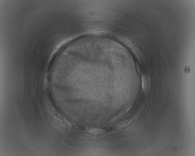 X0000091960579200710041030