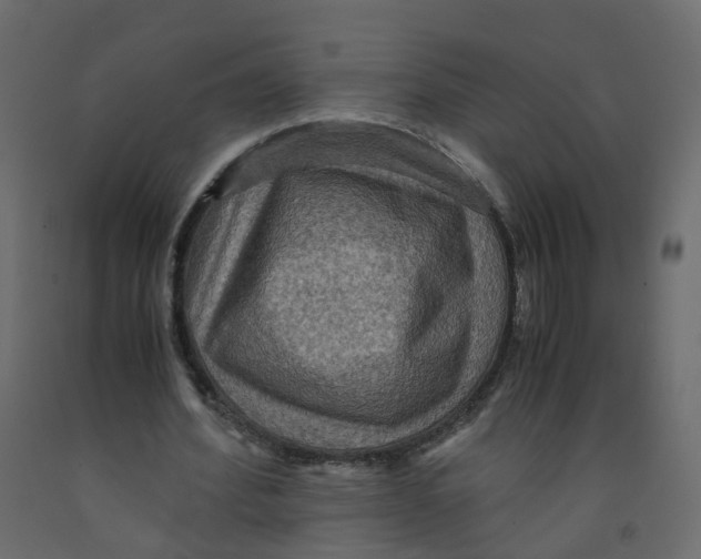X0000091960580200710041030