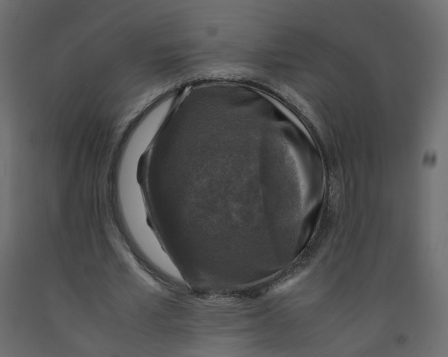 X0000091960581200710041030