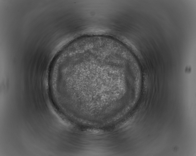 X0000091960582200710041030