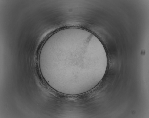 X0000091960583200710041030