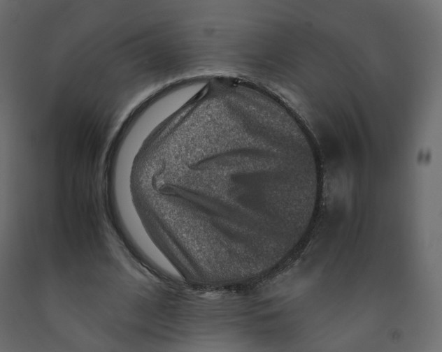 X0000091960584200710041030