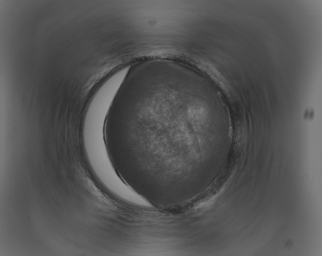 X0000091960585200710041030