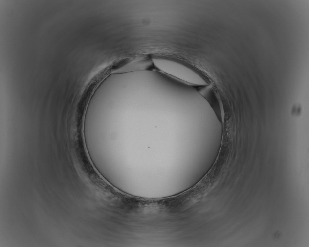 X0000091960587200710041030