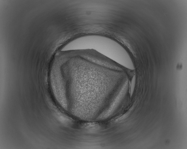 X0000091960589200710041030
