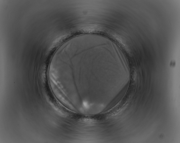 X0000091960590200710041030