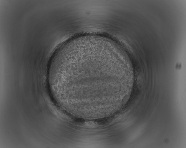 X0000091960591200710041030