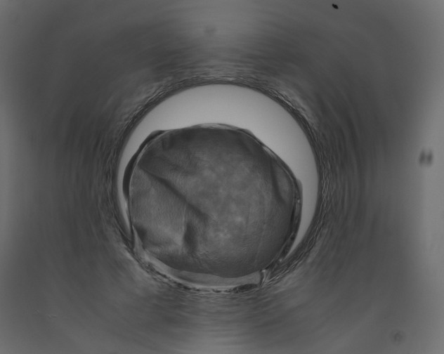 X0000091960593200710041030