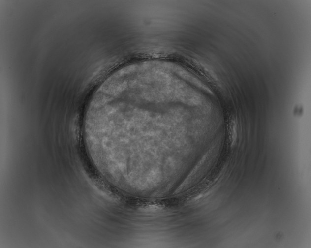 X0000091960594200710041030